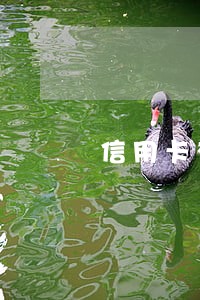 信用卡有逾期背调 信用卡有逾期背调