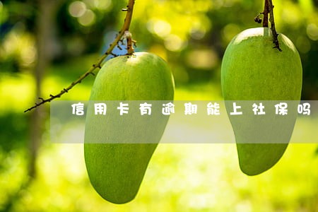 信用卡有逾期能上社保吗 信用卡有逾期能上社保吗