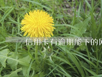 信用卡有逾期能下的网贷口子 信用卡有逾期能下的网贷口子