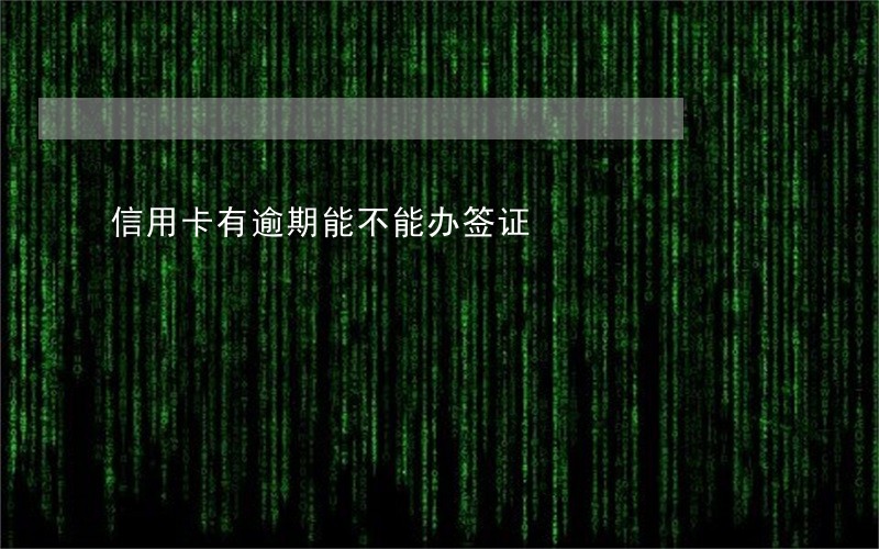 信用卡有逾期能不能办签证