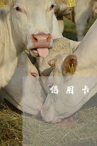 信用卡有逾期能临时提额吗 信用卡有逾期能临时提额吗