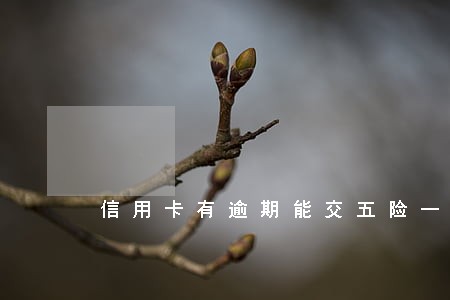 信用卡有逾期能交五险一金吗