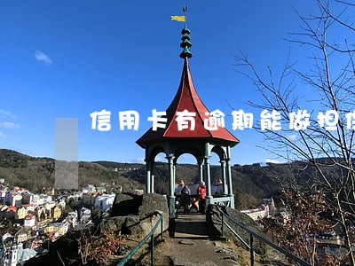 信用卡有逾期能做担保人吗 信用卡有逾期能做担保人吗