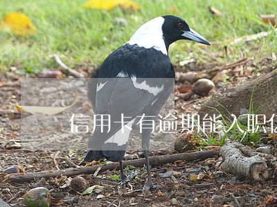 信用卡有逾期能入职亿达嘛