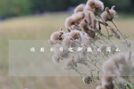 信用卡有逾期能出国么 信用卡有逾期能出国么