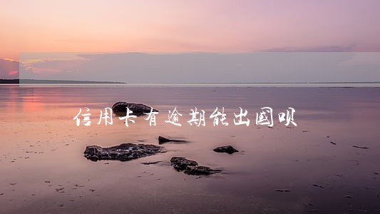 信用卡有逾期能出国呗 信用卡有逾期能出国呗