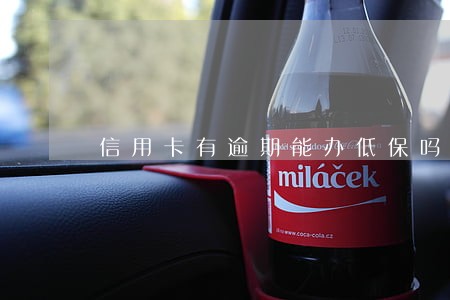 信用卡有逾期能办低保吗 信用卡有逾期能办低保吗