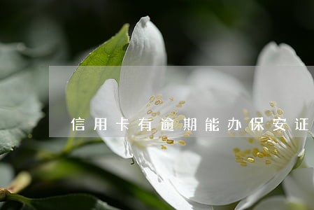 信用卡有逾期能办保安证 信用卡有逾期能办保安证