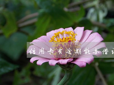 信用卡有逾期能办借记卡吗 信用卡有逾期能办借记卡吗