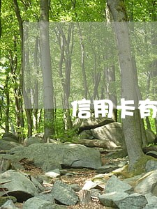 信用卡有逾期能办出国劳务吗 信用卡有逾期能办出国劳务吗