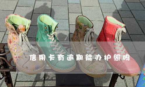 信用卡有逾期能办护照吗 信用卡有逾期能办护照吗