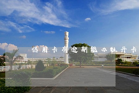 信用卡有逾期能办牡丹卡么 信用卡有逾期能办牡丹卡么