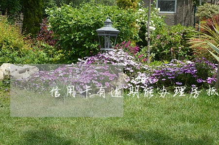 信用卡有逾期能办理房抵押 信用卡有逾期能办理房抵押