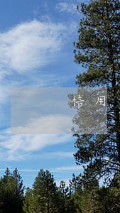 信用卡有逾期能办理车贷吗 信用卡有逾期能办理车贷吗