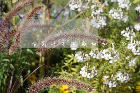 信用卡有逾期能办签证吗