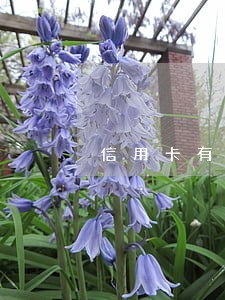 信用卡有逾期能办签证吗上海 信用卡有逾期能办签证吗上海