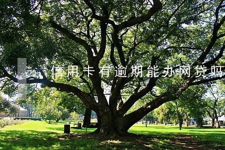 信用卡有逾期能办网贷吗 信用卡有逾期能办网贷吗