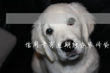 信用卡有逾期能办装修贷 信用卡有逾期能办装修贷