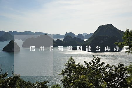 信用卡有逾期能否再办信用卡 信用卡有逾期能否再办信用卡