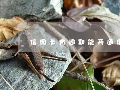 信用卡有逾期能开通借呗吗 信用卡有逾期能开通借呗吗