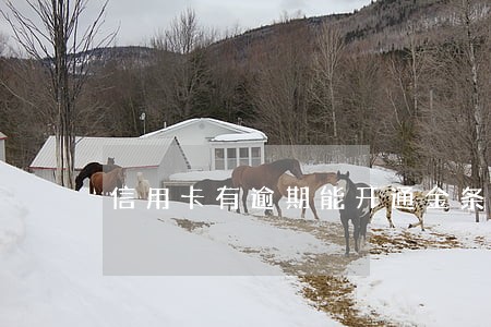 信用卡有逾期能开通金条 信用卡有逾期能开通金条