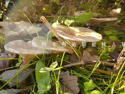 信用卡有逾期能找人销掉吗