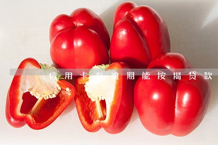 信用卡有逾期能按揭贷款吗 信用卡有逾期能按揭贷款吗