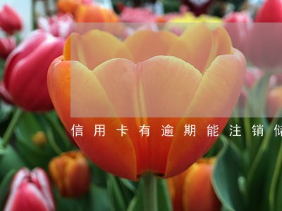信用卡有逾期能注销储蓄卡吗 信用卡有逾期能注销储蓄卡吗