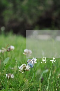 信用卡有逾期能消户吗 信用卡有逾期能消户吗