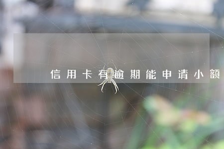 信用卡有逾期能申请小额贷款 信用卡有逾期能申请小额贷款