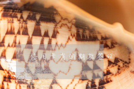 信用卡有逾期能签证 信用卡有逾期能签证