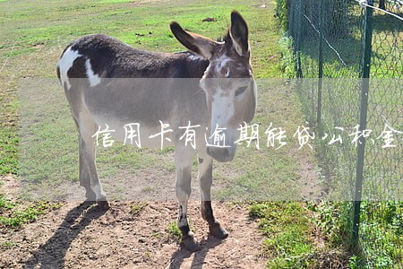 信用卡有逾期能贷公积金