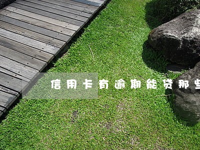 信用卡有逾期能贷那些app 信用卡有逾期能贷那些app