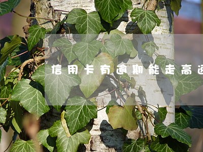 信用卡有逾期能走高速吗 信用卡有逾期能走高速吗