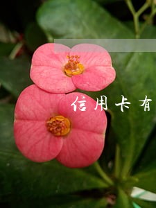 信用卡有逾期能跑滴滴吗 信用卡有逾期能跑滴滴吗