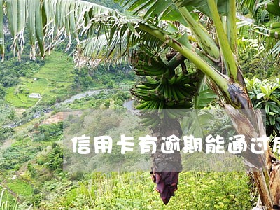信用卡有逾期能通过房贷吗 信用卡有逾期能通过房贷吗