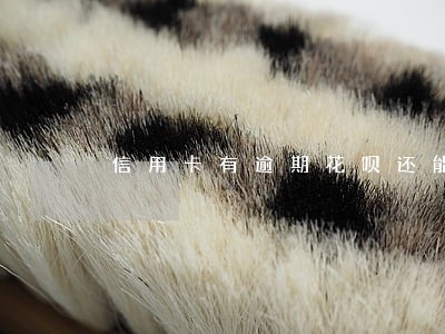 信用卡有逾期花呗还能用吗 信用卡有逾期花呗还能用吗