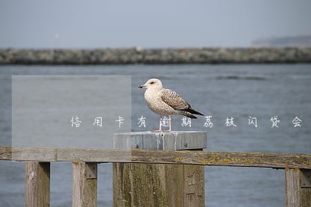 信用卡有逾期荔枝闪贷会过吗 信用卡有逾期荔枝闪贷会过吗