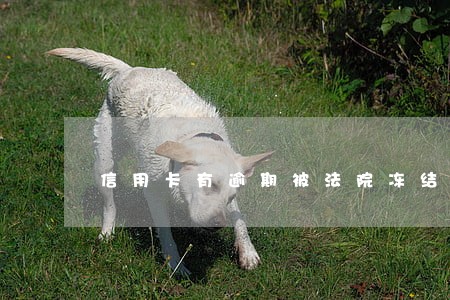 信用卡有逾期被法院冻结 信用卡有逾期被法院冻结