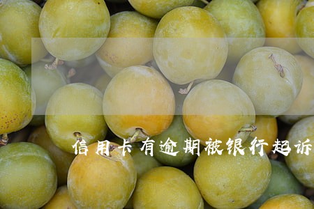 信用卡有逾期被银行起诉会怎样 信用卡有逾期被银行起诉会怎样