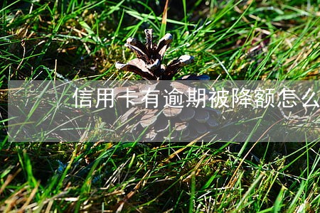 信用卡有逾期被降额怎么办 信用卡有逾期被降额怎么办