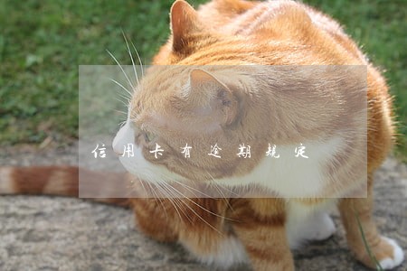 信用卡有逾期规定