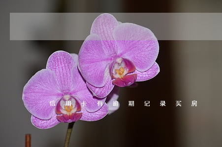 信用卡有逾期记录买房 信用卡有逾期记录买房