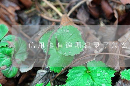 信用卡有逾期记录了怎么办