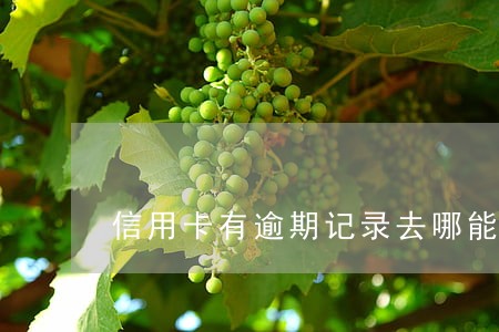 信用卡有逾期记录去哪能网贷