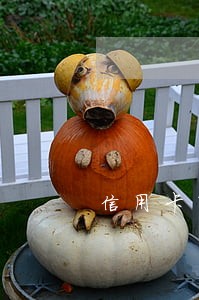 信用卡有逾期记录可以坐高铁吗 信用卡有逾期记录可以坐高铁吗