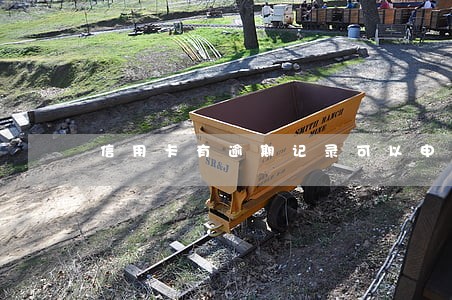 信用卡有逾期记录可以申请消除么