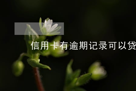 信用卡有逾期记录可以贷款吗 信用卡有逾期记录可以贷款吗