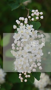 信用卡有逾期记录多久会刷新 信用卡有逾期记录多久会刷新