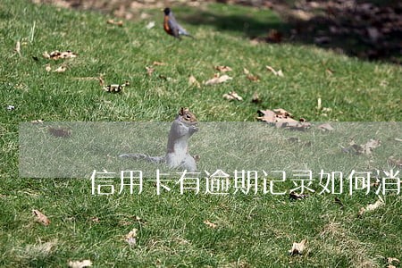 信用卡有逾期记录如何消除 信用卡有逾期记录如何消除